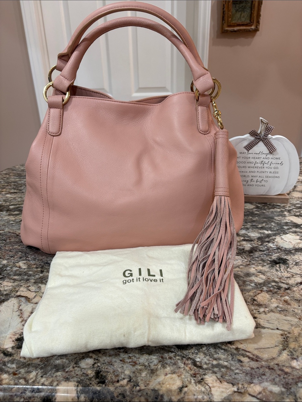NWT G.I.L.I. Blush Pink Leather Roma 2 Tote❤️